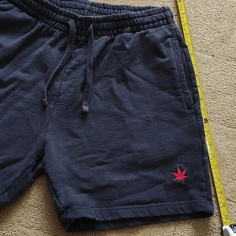 BOAST Shorts - Picture 4 of 8